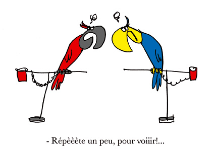perroquets1.jpg